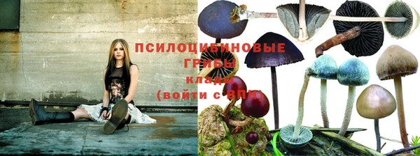 спиды Бугульма