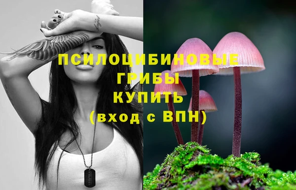 альфа пвп Бородино