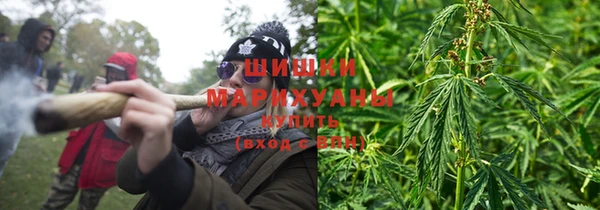 молекула духа Коряжма